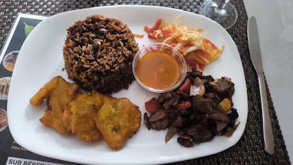 Palmiste Soleil d'Haïti